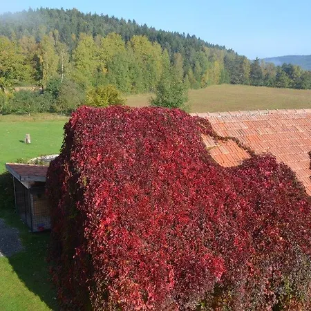 Stremily Gasthof 3*